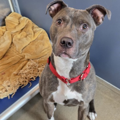 Bucky - Benchwarmer!