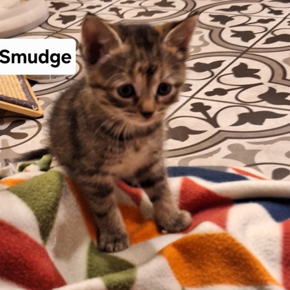 Smudge