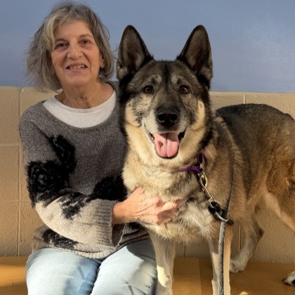 Ava - Benchwarmer & Sally's Senior Pick!