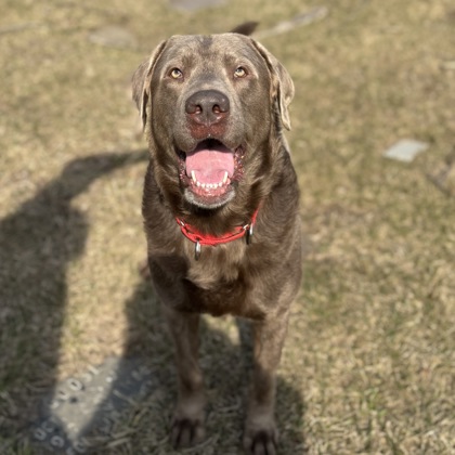 Mushi - Benchwarmer!