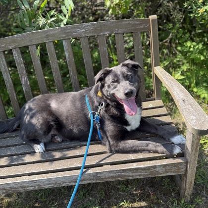 Grace-Benchwarmer!