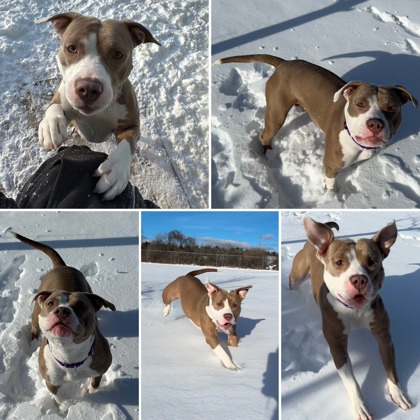 Lizeth - Benchwarmer!