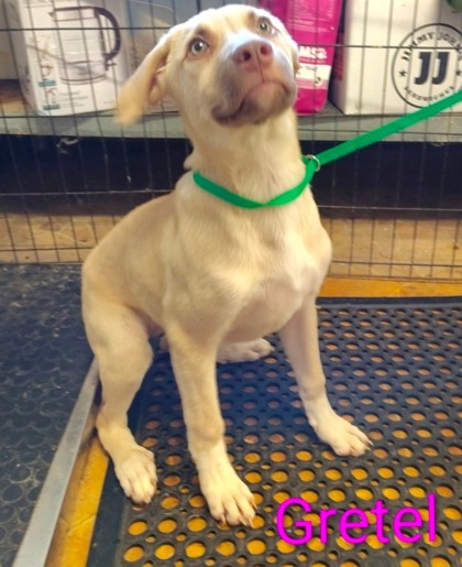 Gretel