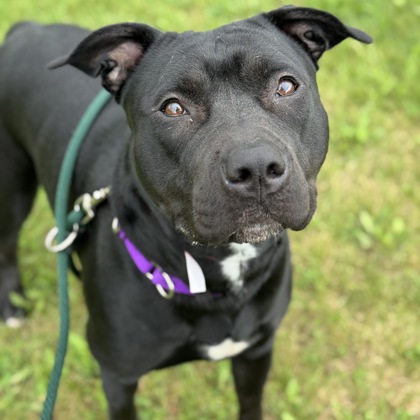 Xena