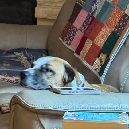 Magic - Volunteer Pick & Benchwarmer!