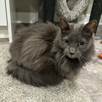 Ed - Required Couple!