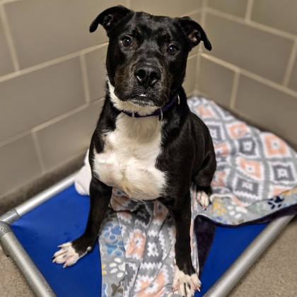 Zonna - Benchwarmer!-Video!