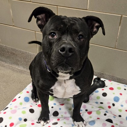 Billy - Benchwarmer!