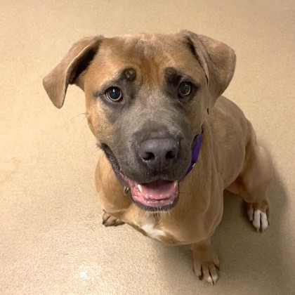 Ghost - Video & Benchwarmer!