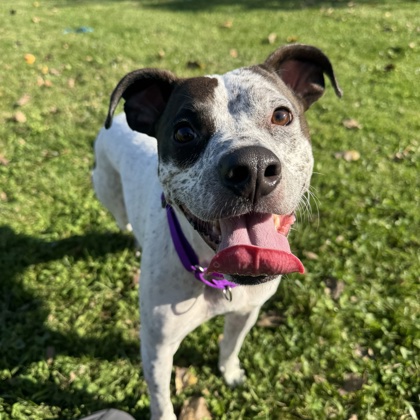 Max