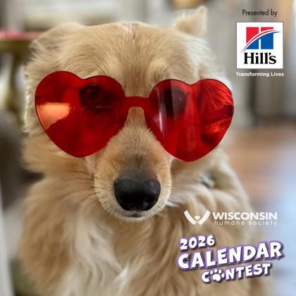 Enter & vote in our Calendar Contest!