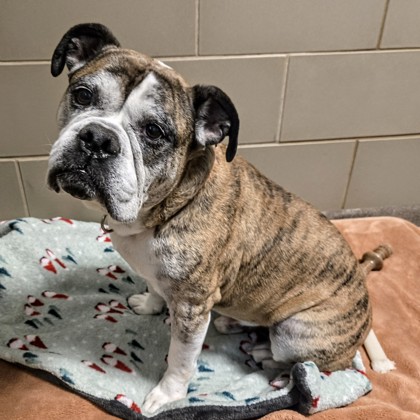 Thor - Benchwarmer!-Video!