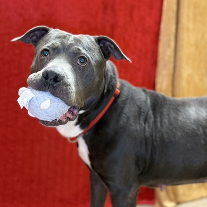 Margo - Benchwarmer!