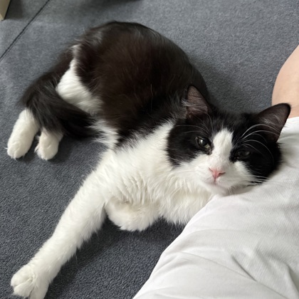 Tux