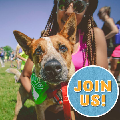 Join us at Pet Walk MKE June 17!