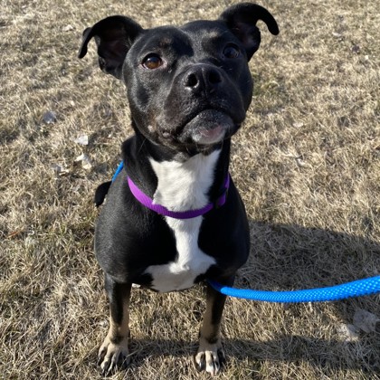 Big Bill - Benchwarmer!