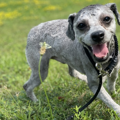 Max