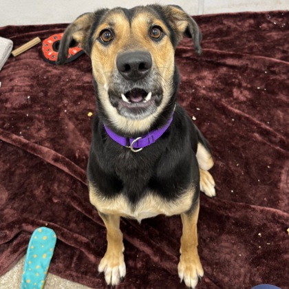 Wynter - Benchwarmer!