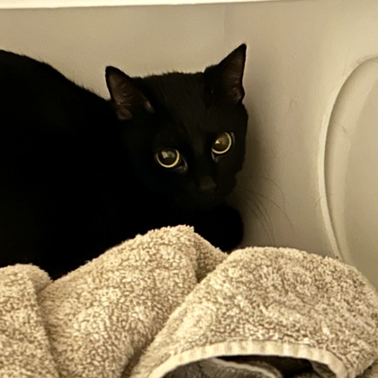 Luna