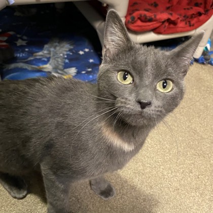 Spicy-Volunteer Pick!