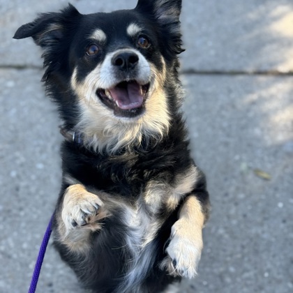 Diesel - Required Couple!