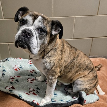 Thor - Benchwarmer!-Video!