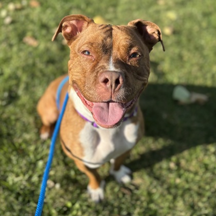 Gucci - Benchwarmer!