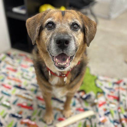 Bella Rose - Benchwarmer!