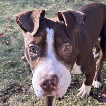 Mr. David Lo Pan - Video!