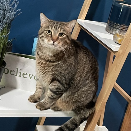 Frank - Video! - Required Couple