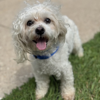 Roscoe