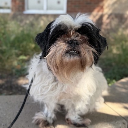 Lola
