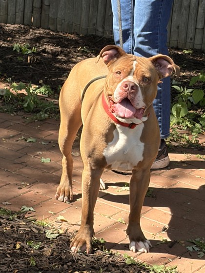 Coco