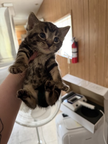 Melinda