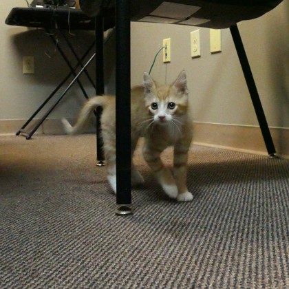 Kiki