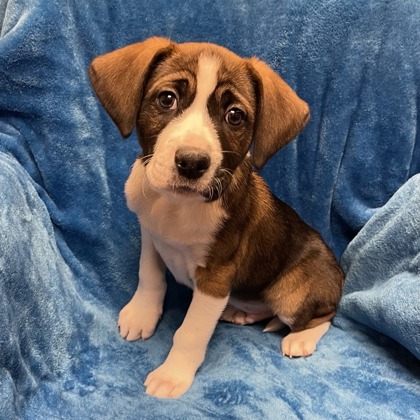 Jack Black - Available Wed. Feb. 11 @ 11am