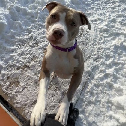 Lizeth - Benchwarmer!