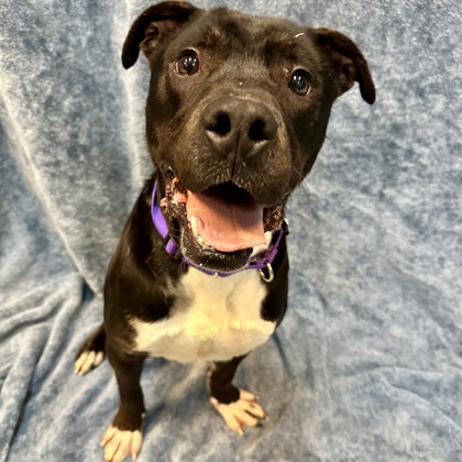 Zonna - Benchwarmer!