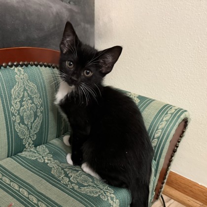 Onyx
