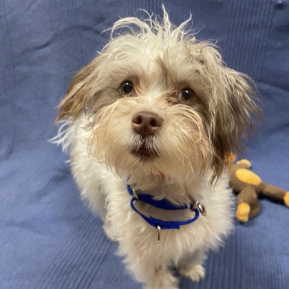 Roxy - Available Fri. March 6 @ 1pm