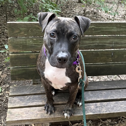 Nijah - Benchwarmer!