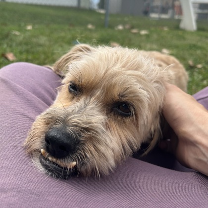 Precious