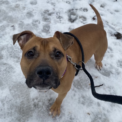 Homie - Benchwarmer!