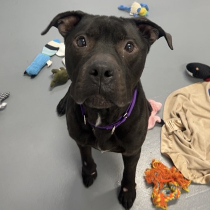 Benna - Benchwarmer!