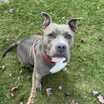 Lexi - Video, Staff Pick & Benchwarmer!