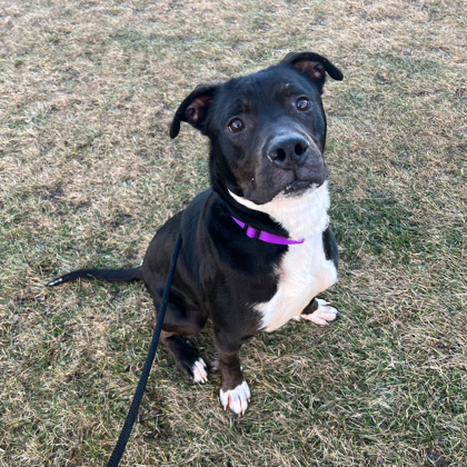 Zonna - Benchwarmer!