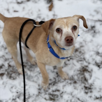 Kiko - Required Couple