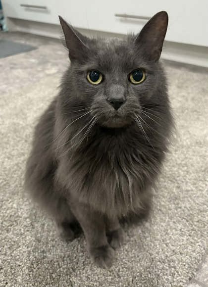 Ed - Required Couple!