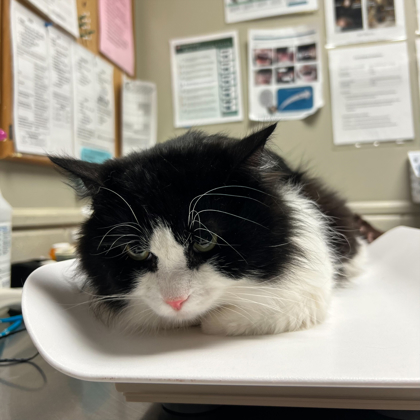 Tux