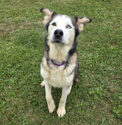 Kenai